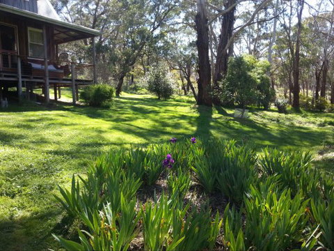 Mount Cole Cottages - Kempsey Accommodation 8