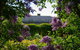 Eurambeen Historic Homestead And Gardens - thumb 1