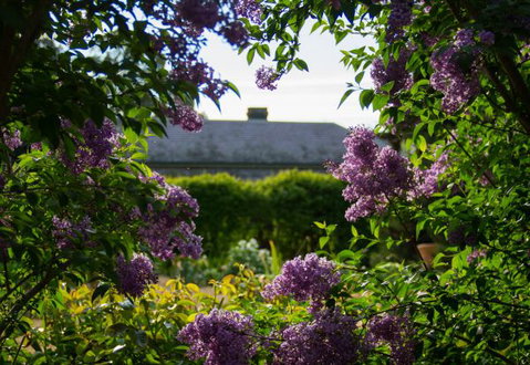 Eurambeen Historic Homestead And Gardens - Kempsey Accommodation 1