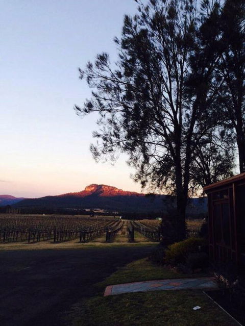 Nightingale Wines Luxury Villas - Kempsey Accommodation 1