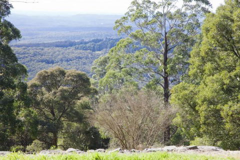 The Jungle Lodge, Blue Mountains Botanic Gardens - Kempsey Accommodation 6