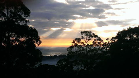 The Jungle Lodge, Blue Mountains Botanic Gardens - Kempsey Accommodation 8