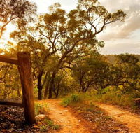 Kurrajong Trails and Cottages - Kempsey Accommodation