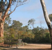 Drummonds Camp at Avon Valley National Park - Kempsey Accommodation