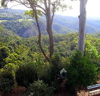 Mt Tamborine Motel - Kempsey Accommodation