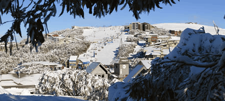 Alpine Ridge Lodge - Kempsey Accommodation