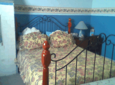 Hamilton Heritage Bed & Breakfast - Kempsey Accommodation 2