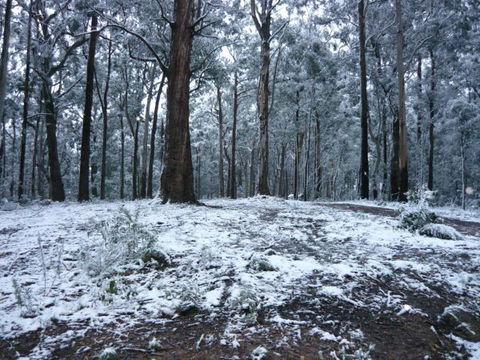 High Peaks Cottages - Kempsey Accommodation 0
