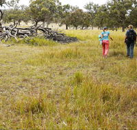Carnarvon National Park camping - Kempsey Accommodation