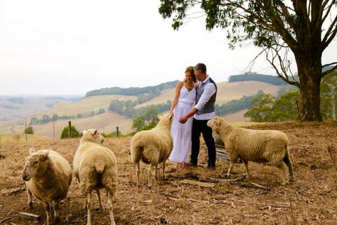 Halcyon Cottage Retreat - Self Contained Accommodation - Kempsey Accommodation 2