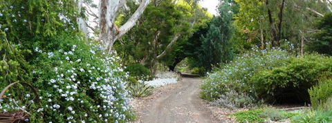 Camawald Coonawarra Bed & Breakfast - Kempsey Accommodation 5