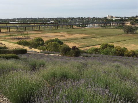 Brayfield Cottage - Kempsey Accommodation 1
