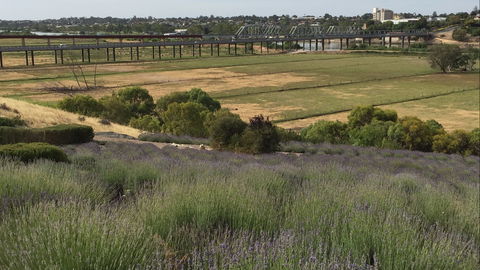Brayfield Cottage - Kempsey Accommodation 0