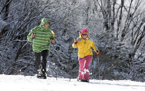 Frueauf Village - Kempsey Accommodation 30