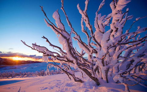 Frueauf Village - Kempsey Accommodation 11