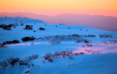 Frueauf Village - Kempsey Accommodation 33