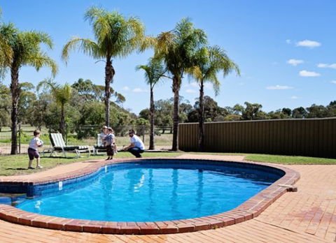 Barmera Country Club Motor Inn - Kempsey Accommodation 3