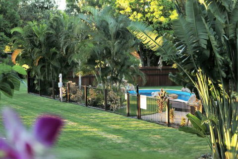 Bush Oasis Caravan Park - Kempsey Accommodation 4