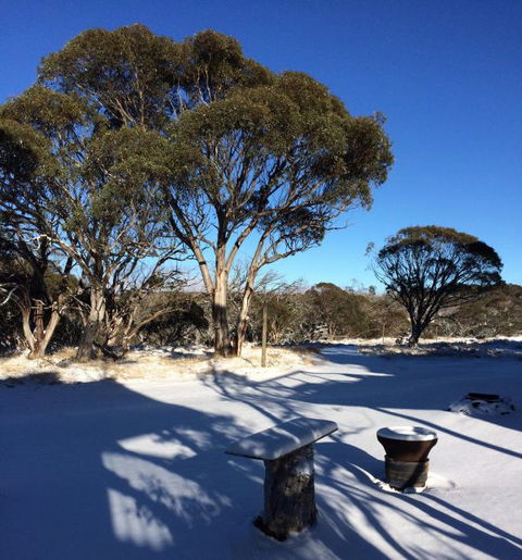 Cloud 9 Alpine Lodge - Kempsey Accommodation 9