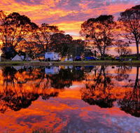 Coonawarra Bush Holiday Park - Kempsey Accommodation