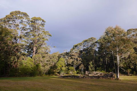 Fernhill Chestnut Farm - Kempsey Accommodation 2
