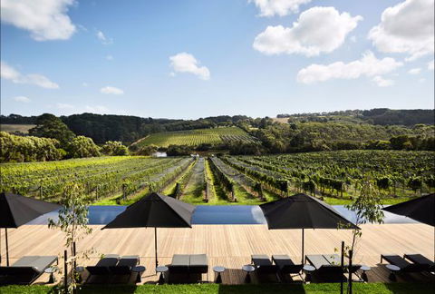 Jackalope Mornington Peninsula - Kempsey Accommodation 4