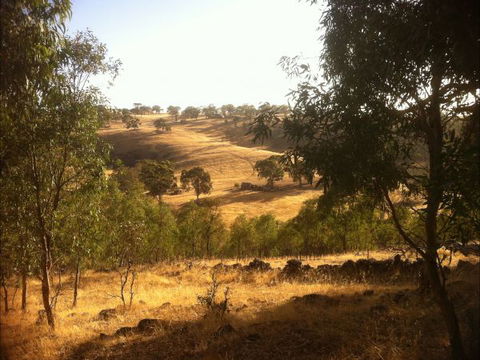 Jonathan Art Centre - Jarramarrumba House - Kempsey Accommodation 6