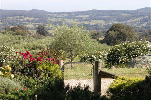 L'Oliveraie - Kempsey Accommodation 1