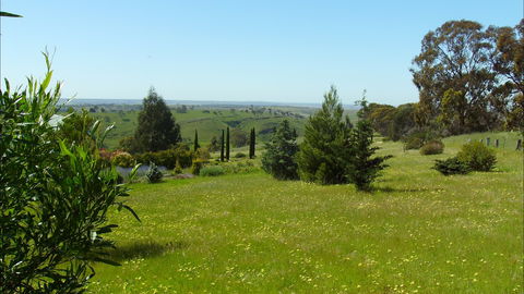 Jonathan Art Centre - Jarramarrumba House - Kempsey Accommodation 0