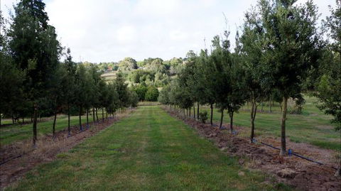 Oakhill Cottage - Kempsey Accommodation 6