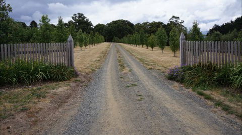 Oakhill Cottage - Kempsey Accommodation 7