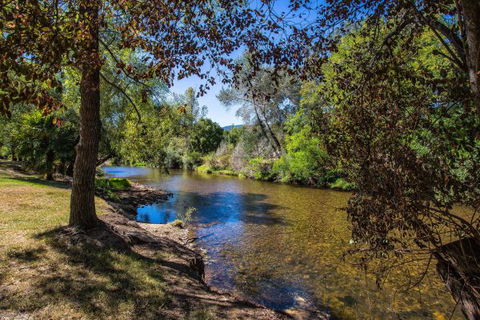 Porepunkah Bridge Holiday Park - Kempsey Accommodation 5