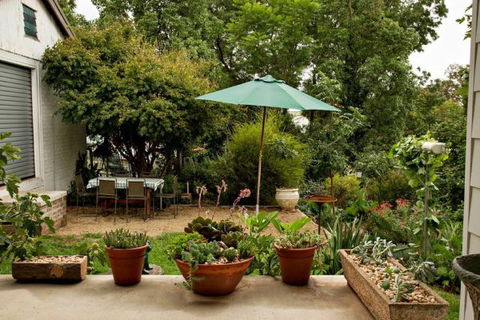 Young Garden Retreat - Kempsey Accommodation 4