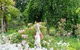 Camawald Coonawarra Bed & Breakfast - thumb 12