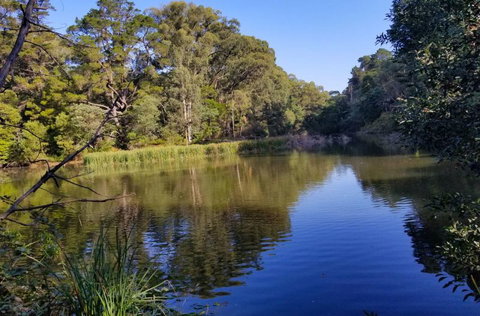 Ferny Hill Retreat - Kempsey Accommodation 3