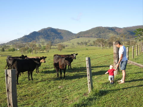 Barrington Hideaway- River Cottages - Kempsey Accommodation 6
