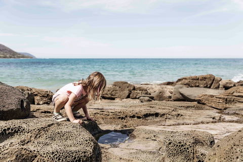 BIG4 Wye River Holiday Park - Kempsey Accommodation 9