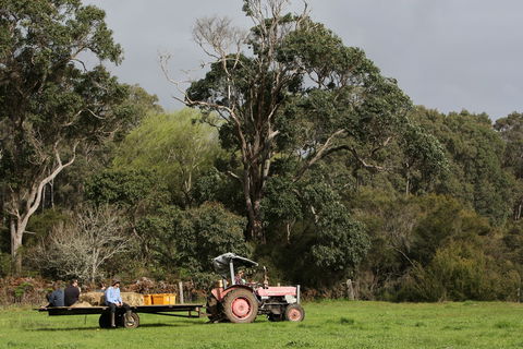 Boronia Farm - Kempsey Accommodation 0
