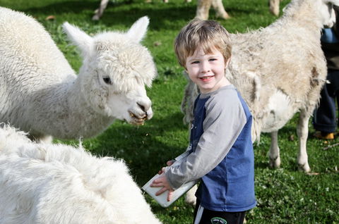Boronia Farm - Kempsey Accommodation 2