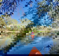 Boynedale Bush Camp - Kempsey Accommodation