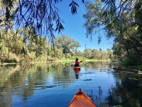 Boynedale Bush Camp - Kempsey Accommodation 0
