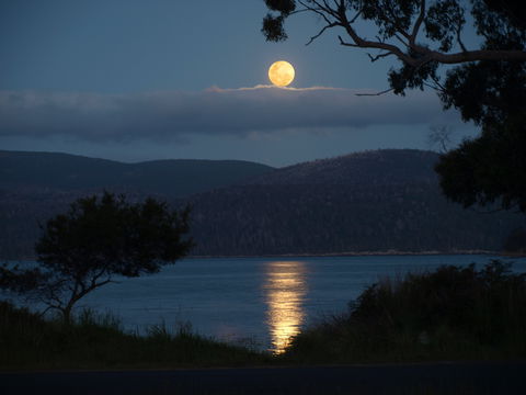 Burilda Waters - Kempsey Accommodation 4