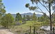 Corymbia - thumb 4