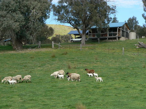 Gaddleen Grove Cottages - Kempsey Accommodation 0