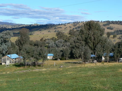 Gaddleen Grove Cottages - Kempsey Accommodation 7