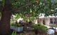 Hahndorf Oak Tree Cottages - thumb 8
