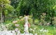 Camawald Coonawarra Bed & Breakfast - thumb 4