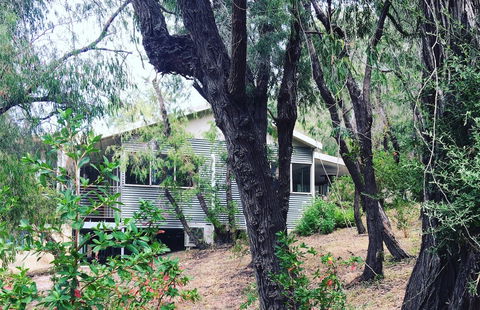 Kangaroo Hollow Preston Beach - Kempsey Accommodation 8