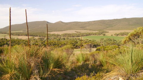 Nyroca Campsite & Group Accommodation - Kempsey Accommodation 0