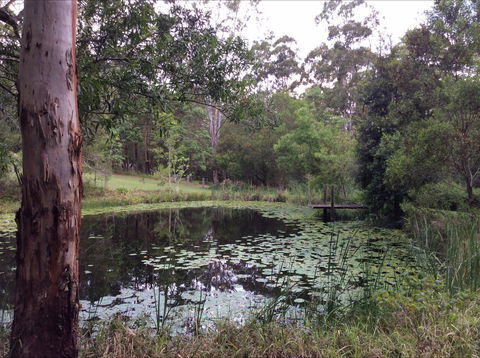 Maleny Country Cottages - Kempsey Accommodation 3
